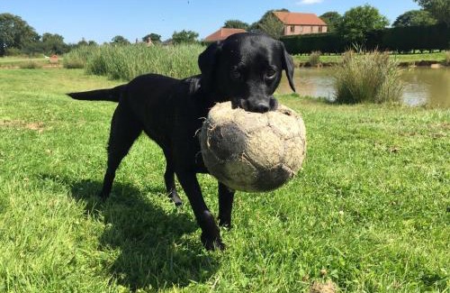 Maltby le Marsh Resort | Grange Farm Park