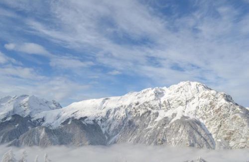 Villard-Reculas Apartment | Granges 5 Studio pied de piste