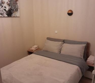 Matiçan Apartment | Gray Apartament 2 Pristina