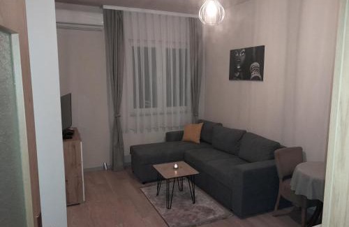 Matiçan Apartment | Gray Apartament 2 Pristina