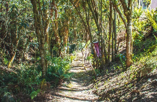 Usaquen House | GREAT HOUSE IN THE MIDDLE OF NATURE