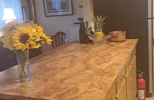 Spring Hill House | Great house, upscale neighborhood close to everything. Pet friendly. 20ft pool