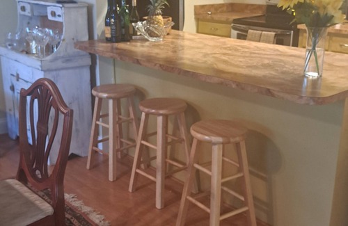 Spring Hill House | Great house, upscale neighborhood close to everything. Pet friendly. 20ft pool