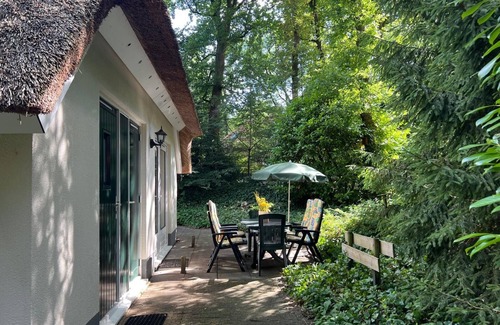 IJhorst Cottage | GREAT TIT - AMONG THE TREES!