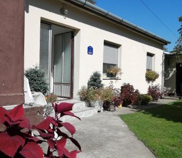 Novi Sad Apartment | Green Apartment