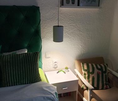 Vojvodina Apartment | Green Cactus Rooms - unique and cozy house