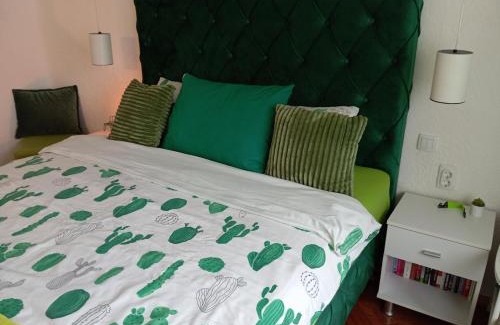 Vojvodina Apartment | Green Cactus Rooms - unique and cozy house