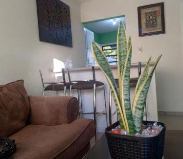 Puerto Penasco House | Green House