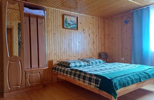 Plavya House | Green House Panorama Karpat