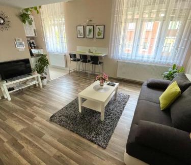 Debrecen Apartment | Green Island in the downtown with free parking