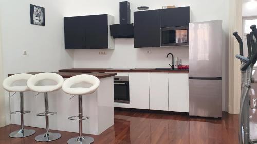 Nepszinhaz negyed Apartment | Green Panda Apartments