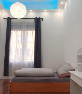 Nepszinhaz negyed Apartment | Green Panda Apartments