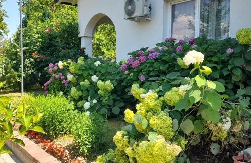 Pejë House | Green Paradise Villa