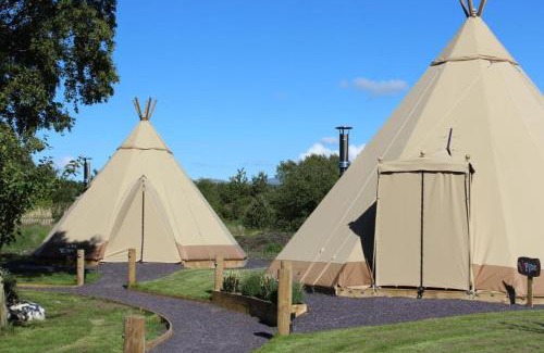 Y Felinheli Other | GreenWood Family Park
