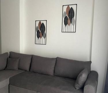 Tirana Apartment | Grey Opal Apartment