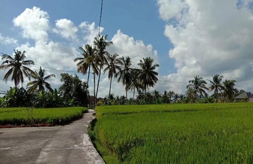 Andong Bed & Breakfast | griya lagom