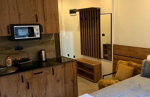 Lisina Apartment | Grizzly Milmari
