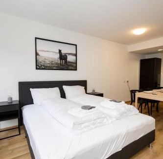 Wurzburg City Centre Apartment | Große Ferienwohnung in der Altstadt