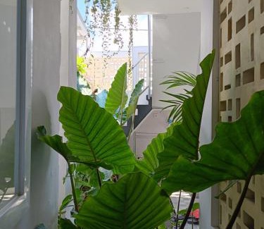 Saba Villa | Guest House Djumah Damai