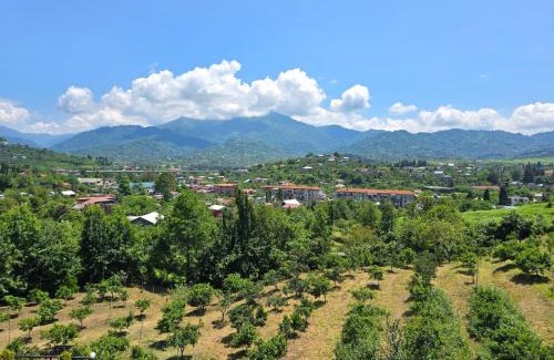 Chakvi House | Guest house EMZAR