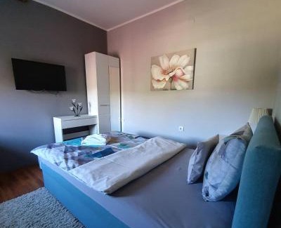 Vrdnik Apartment | Guest House Mines