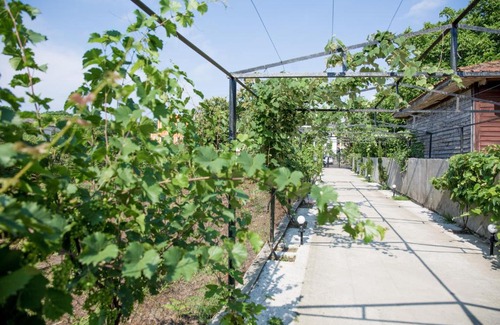 Kobuleti House | Guest House Sofia