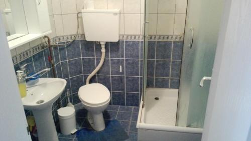 Jagodina House | Guest House Trajkovic Jagodina