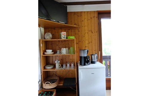 Gutach Apartment | Guest room spruce with toilet and shower