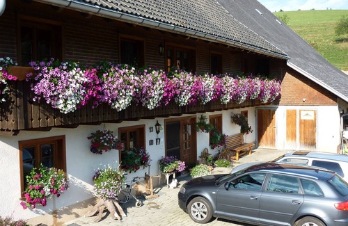Breitnau Apartment | Guest room, 16sqm with shower/WC