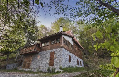 Kopaonik House | Guesthouse Šejn