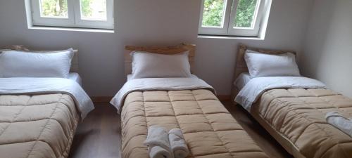 Shale House | Guesthouse Dritan Tethorja