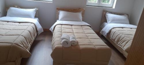 Shale House | Guesthouse Dritan Tethorja