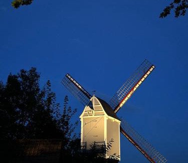 Kasterlee House | Guesthouse Eekhoorn 16