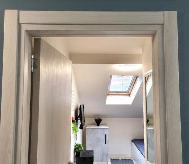 Zemun Apartment | Guesthouse Ožegović