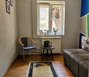 Bajina Basta Apartment | Guesthouse Radošević