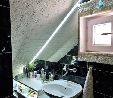 Bajina Basta Apartment | Guesthouse Radošević
