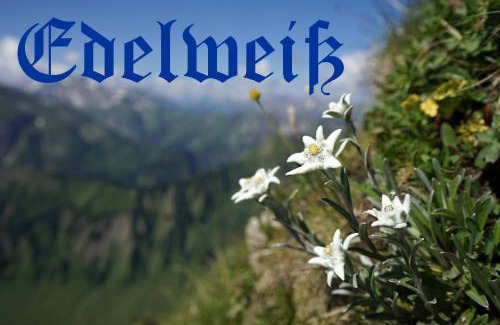 Schmolz Hotel | Gungl Stubn