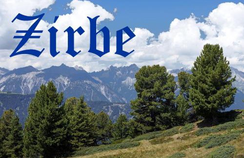 Schmolz Hotel | Gungl Stubn