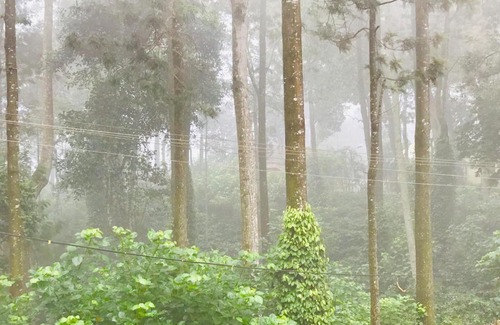 Yercaud Hotel | GURU RESIDENCY