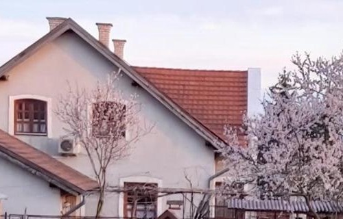 Balatonakali Apartment | Hóvirág Vendégház