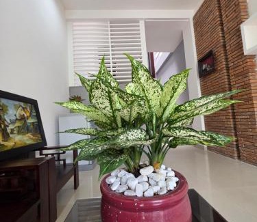 Thuy Xuan Cabin | Hưng Home