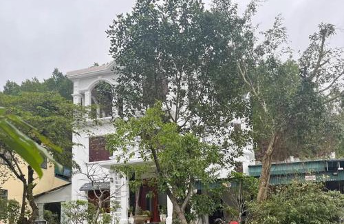 Tien Yen Hotel | Hồng Trà Hotel Quảng Ninh