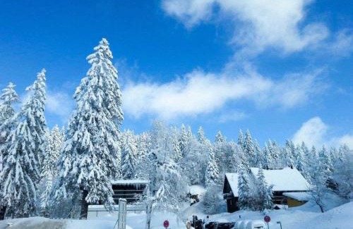 Feldberg Apartment | H&P Touristik Residenz Grafenmatt GRA-2-1