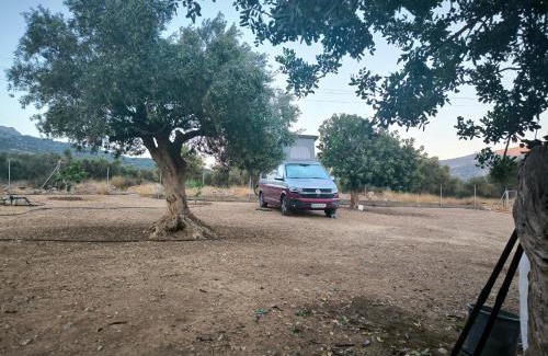 Lassithi Prefecture Other | HA Camp