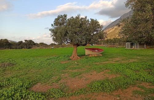 Lassithi Prefecture Other | HA Camp
