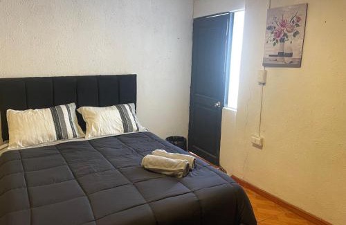 Curico Hotel | Habitación doble Love