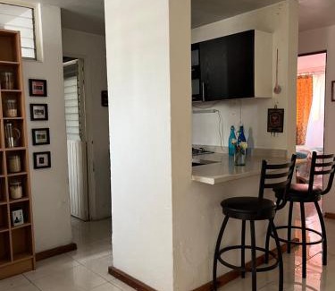 San Pedro Tlaquepaque House | Habitacion comoda en departamento planta baja