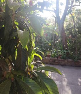 La Serena House | Habitacion y Baño Privado