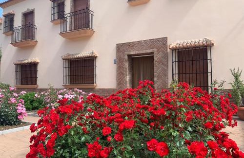 Casabermeja Apartment | Habitaciones rurales Venta Pedro