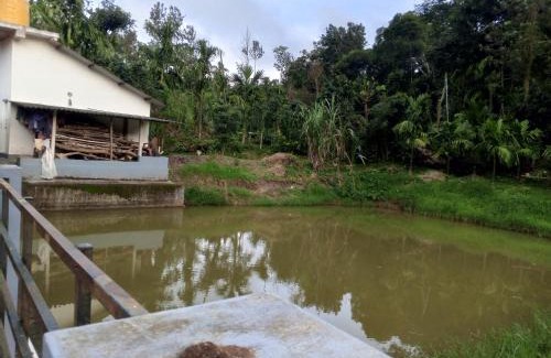 Mudigere House | HALASE HOMESTAY